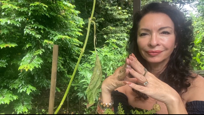 Claudia Morassutti en un entorno natural, firmando al pie de un artículo sobre relaciones y bienestar emocional.
